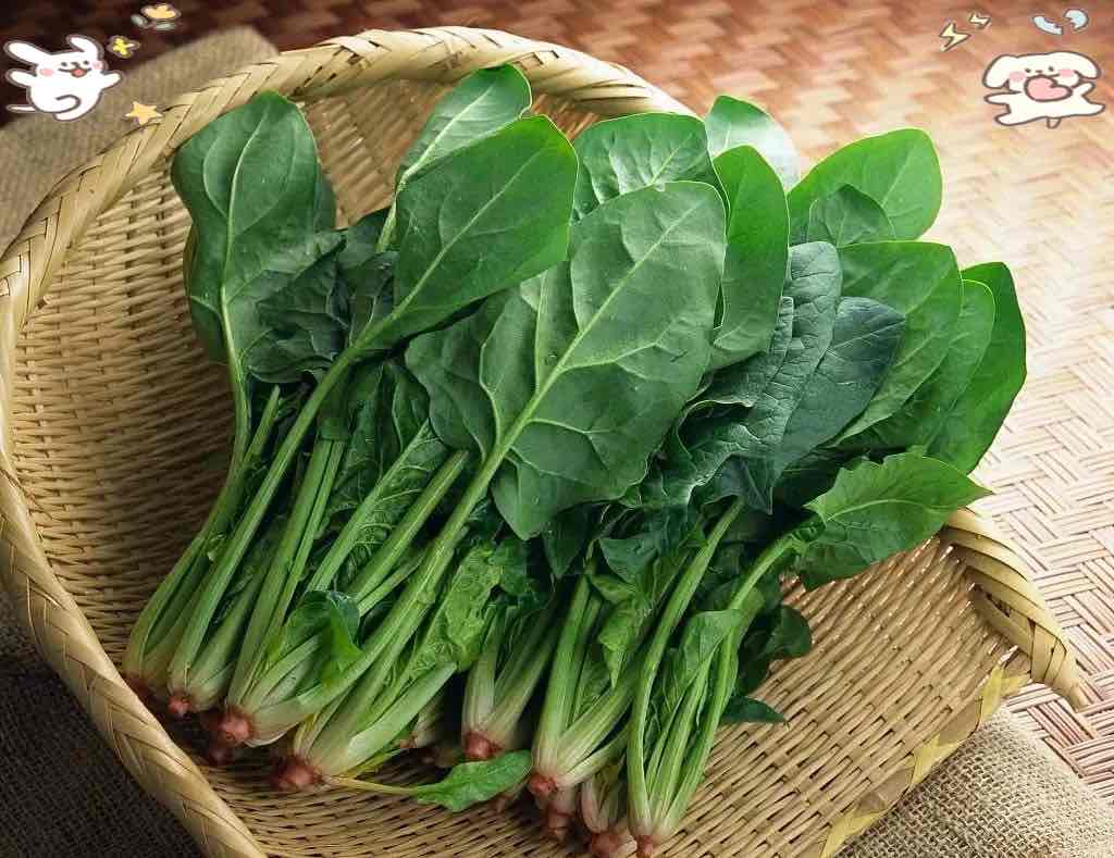 秋冬清肠菜清单!吃了排便超顺畅,再也不用蹲到腿麻 秋冬清肠菜清单!吃了排便超顺畅,再也不用蹲到腿麻