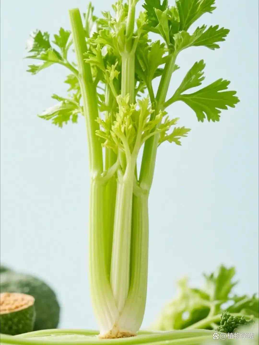 秋冬清肠菜清单!吃了排便超顺畅,再也不用蹲到腿麻 秋冬清肠菜清单!吃了排便超顺畅,再也不用蹲到腿麻