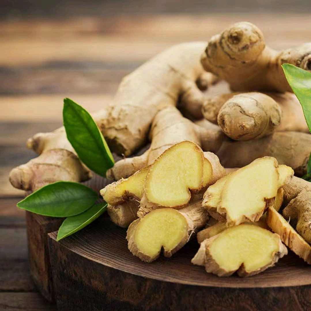 Խ㼦䶬죬ů࣬ͷů