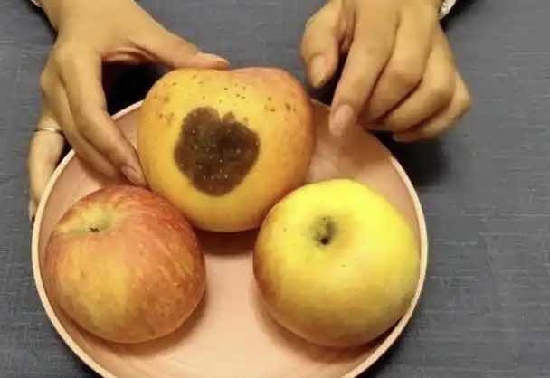 苹果烂一小块,削掉后还能吃吗?答案藏在“看不见的隐患”里 苹果烂一小块,削掉后还能吃吗?答案藏在“看不见的隐患”里