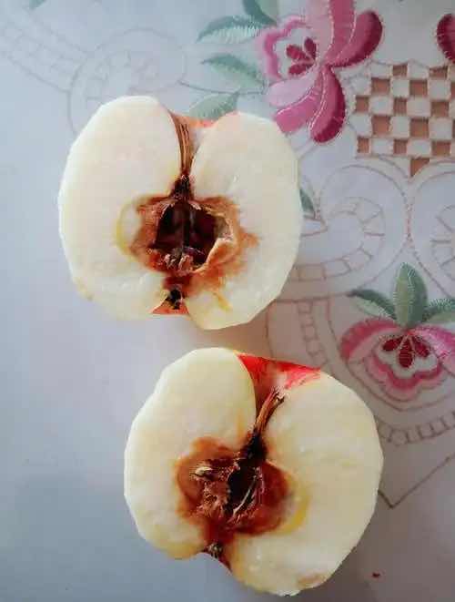 苹果烂一小块,削掉后还能吃吗?答案藏在“看不见的隐患”里 苹果烂一小块,削掉后还能吃吗?答案藏在“看不见的隐患”里