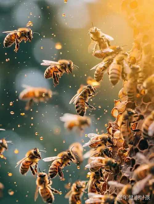 烽烟中的甜刃:蜂蜜的战场传奇 烽烟中的甜刃:蜂蜜的战场传奇