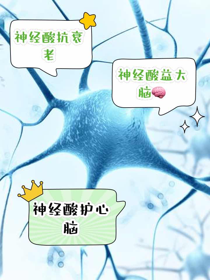 别让“遗忘”偷走晚年:阿尔茨海默病的早筛、早治与守护之道 别让“遗忘”偷走晚年:阿尔茨海默病的早筛、早治与守护之道