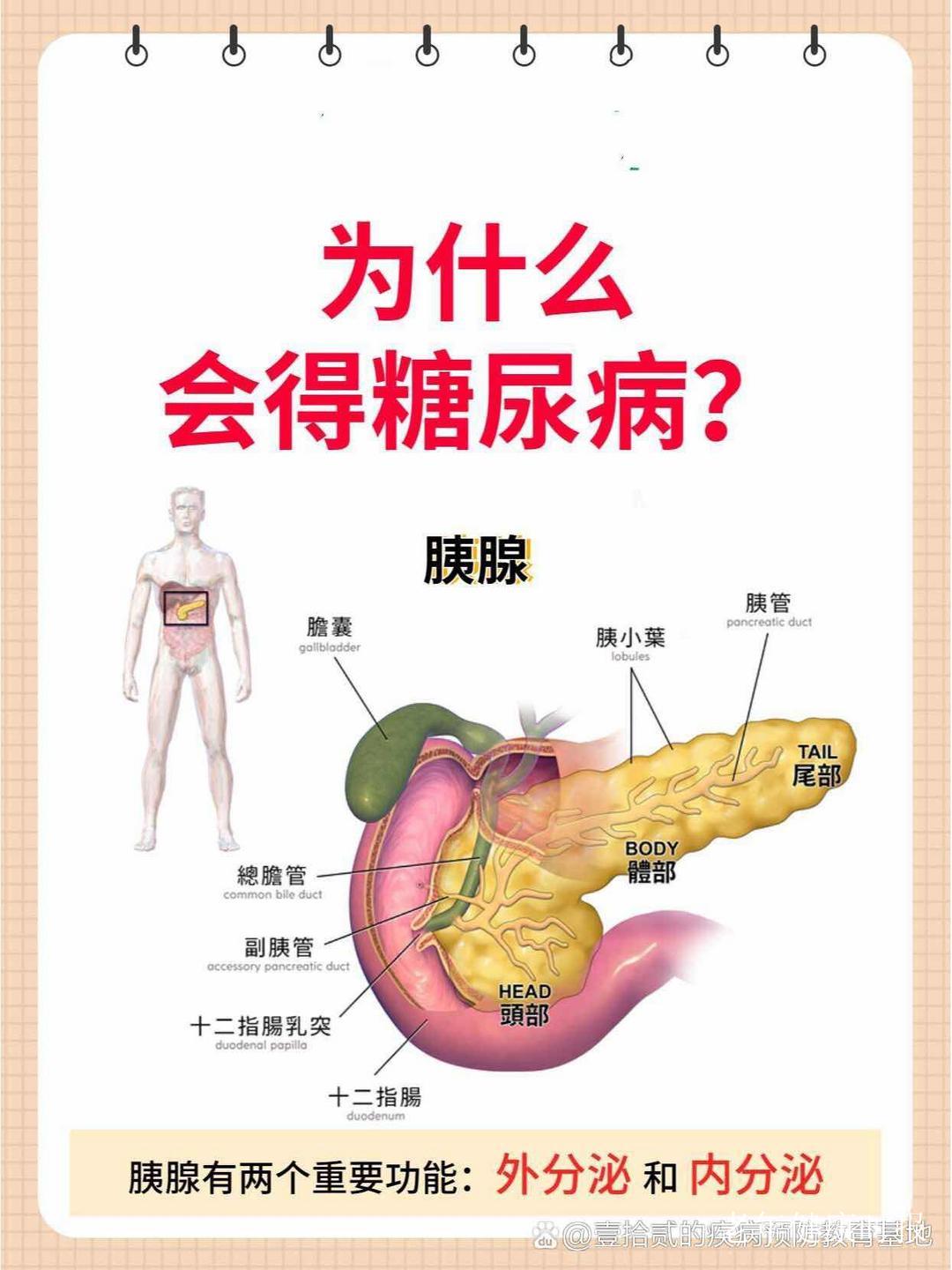 ���򲡷��أ����á����۸�������ס���ꡪ��ר��֧���������ѿ�ѧ