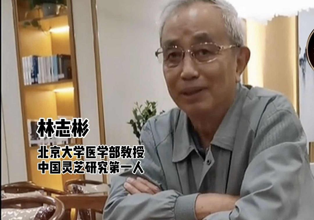 ��־����ڣ���֥���������Ѷ��������еġ�����������