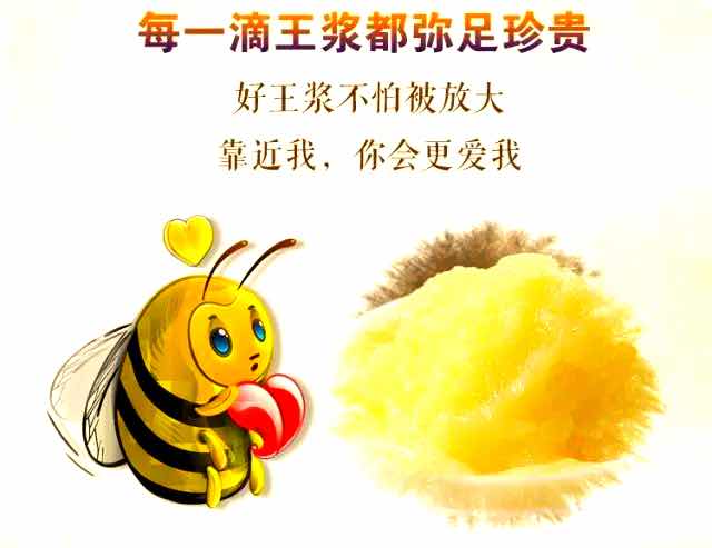 蜂王与工蜂的寿命差30倍!蜂王浆里藏着长寿线索 蜂王与工蜂的寿命差30倍!蜂王浆里藏着长寿线索