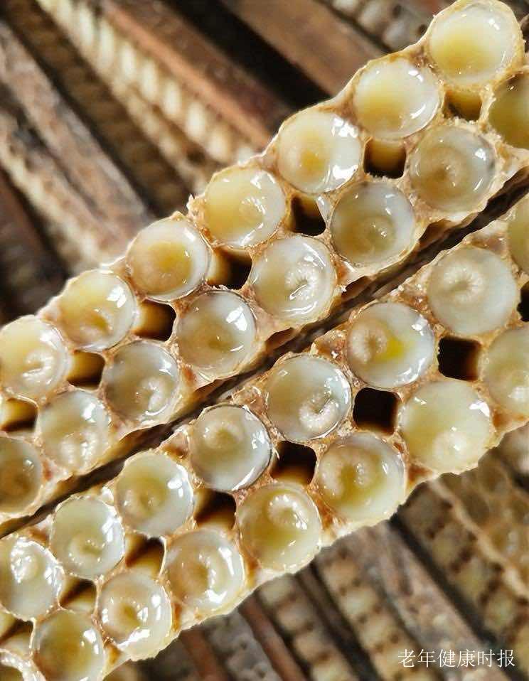 蜂王浆里找到“真正的修复因子” 解锁老年健康养护新密码 蜂王浆里找到“真正的修复因子” 解锁老年健康养护新密码