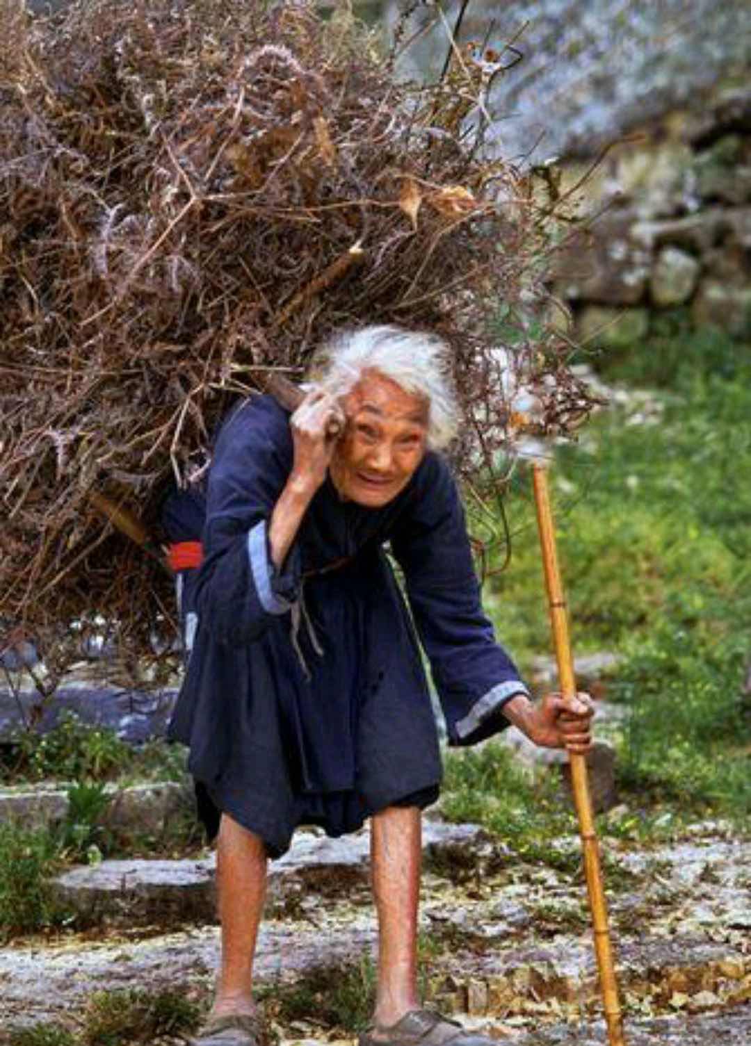 ���衰��Ч�ڷܡ������˳Կ࣬�㻹�ܿ�ʲô���㣿