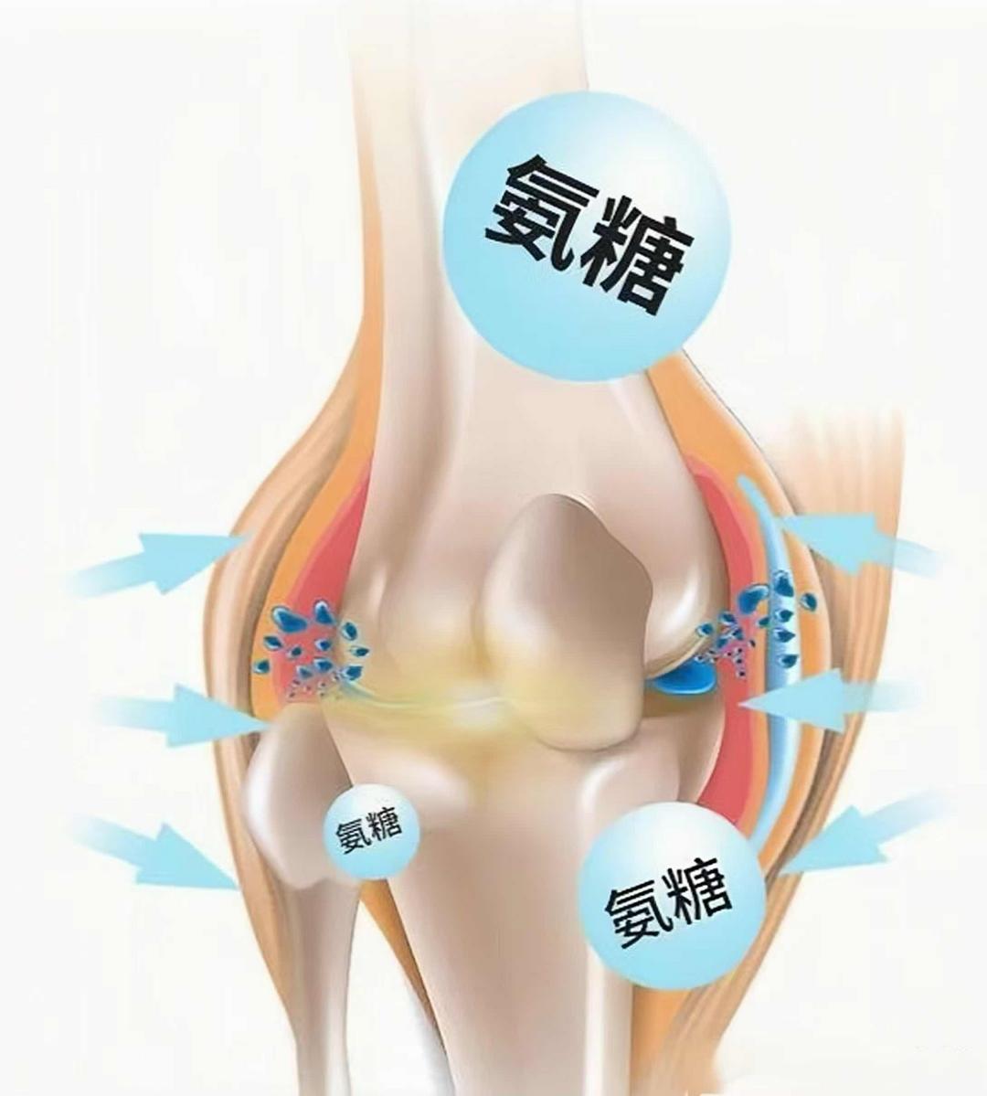 ����ר�ã���ʱ�ڻ��ؽ� ��ѧ���䰱�����ν�������