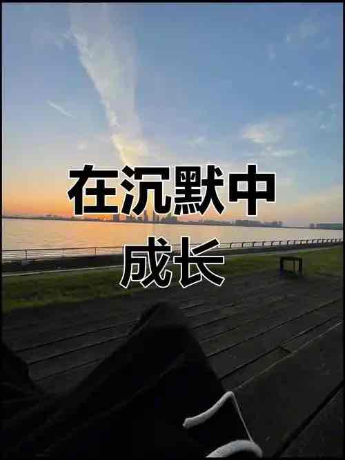 ��Ӣ�ĳ�Ĭ�����������ҹ�е�ʧ������