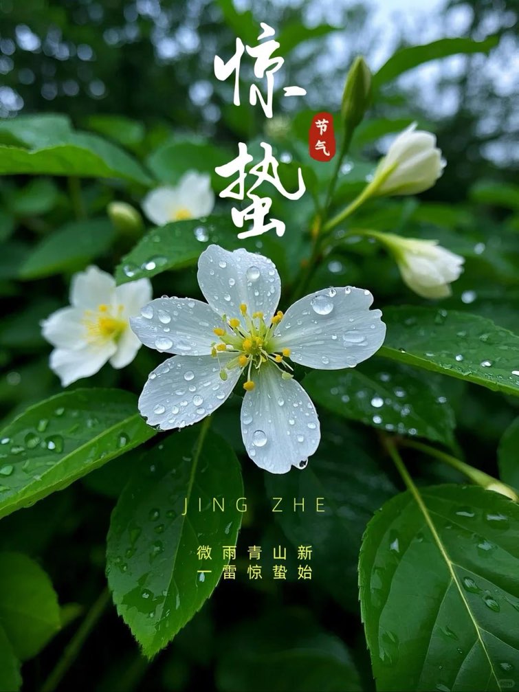 ������������ ����������˳��ʱ