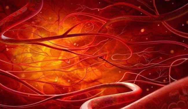 别让血稠,堵死你全身的“微小血管网” 别让血稠,堵死你全身的“微小血管网”