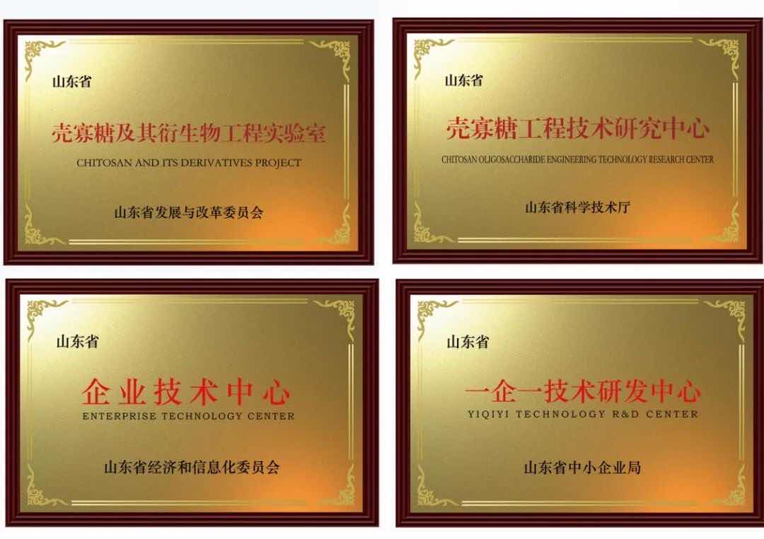 生命第六要素赋能银发健康 山东卫康以科创守护老年安康 生命第六要素赋能银发健康 山东卫康以科创守护老年安康