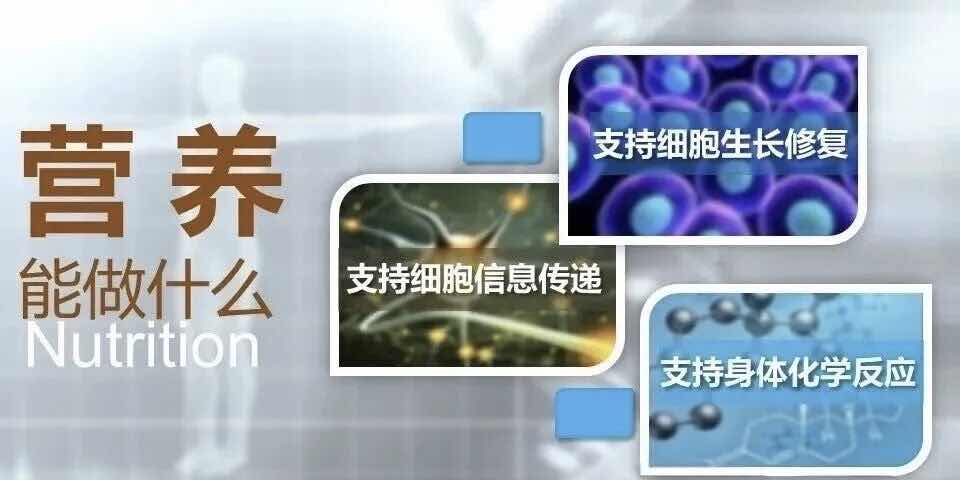 营养非药,何以调病?老年健康的科学答案 营养非药,何以调病?老年健康的科学答案