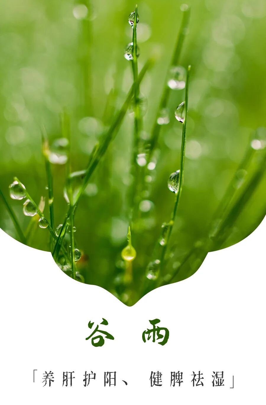 ��������������͸��������ѵĿ�������