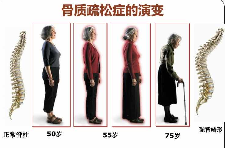 ���ڡ��Ϻ�Ϳ���͡�Сë���������Σ��