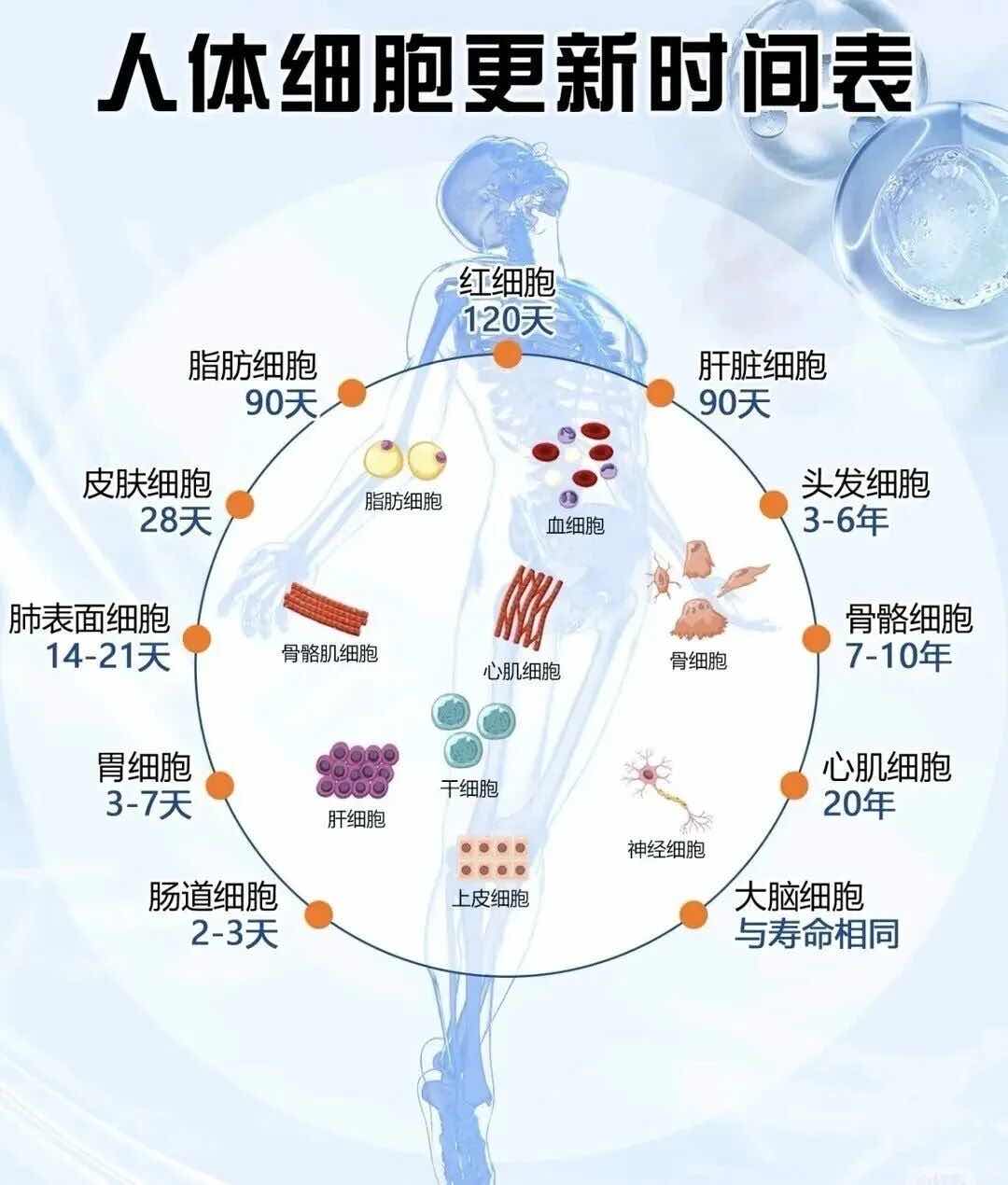 ����ϸ�����£�����ÿһ�̣�������������