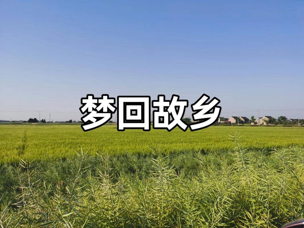 归乡,是最好的心灵疗愈 归乡,是最好的心灵疗愈