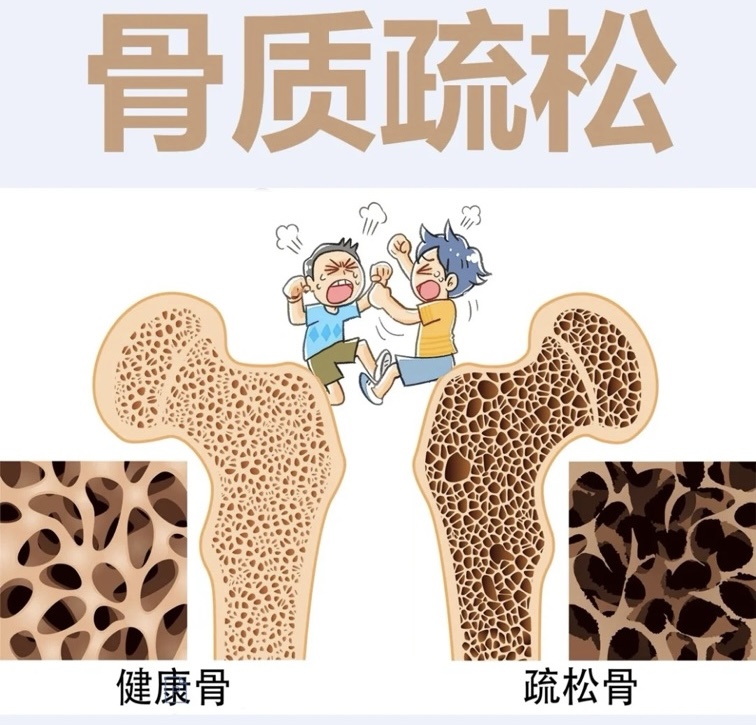������������˥Ԥ�������ǶԹ�����������֪��һֱ����