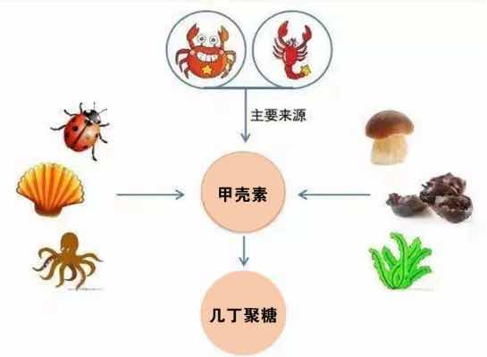 �������塰��������Ҫ�ء����׿����ػ�ȫ�񽡿�������