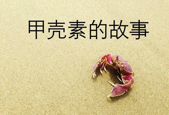 �������塰��������Ҫ�ء����׿����ػ�ȫ�񽡿�������