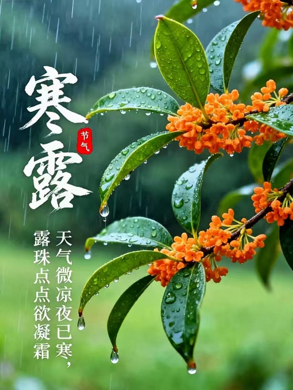 ��¶������Ũ ��ҹ�²����� �������������������